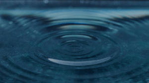 EUSR – SHEA Water